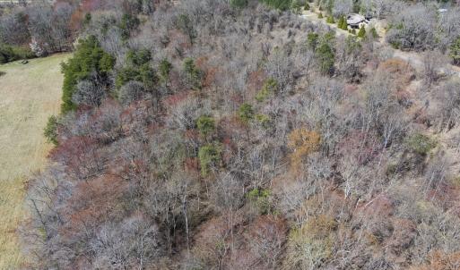 Photo #17 of Lot-3, Off Goodman Road, Pelham, NC 3.3 acres