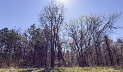 Photo #20 of Lot-3, Off Goodman Road, Pelham, NC 3.3 acres