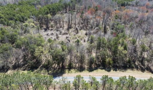 Photo #3 of Off Goodman Road, Lot 4, Pelham, NC 4.5 acres