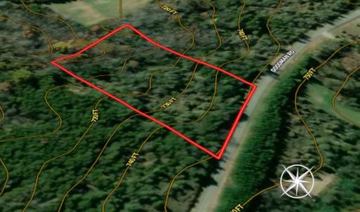 Photo #8 of Off Goodman Road, Lot 4, Pelham, NC 4.5 acres