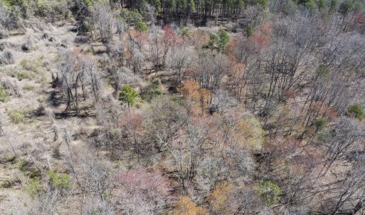 Photo #9 of Off Goodman Road, Lot 4, Pelham, NC 4.5 acres