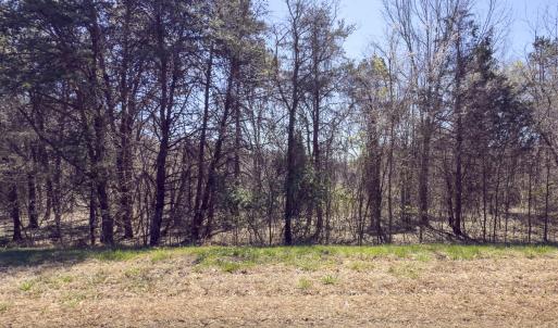 Photo #11 of Off Goodman Road, Lot 4, Pelham, NC 4.5 acres
