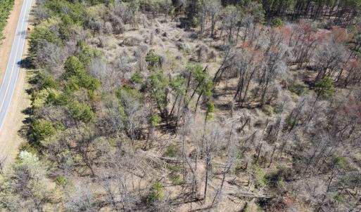 Photo #12 of Off Goodman Road, Lot 4, Pelham, NC 4.5 acres