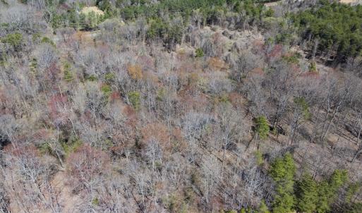 Photo #13 of Off Goodman Road, Lot 4, Pelham, NC 4.5 acres