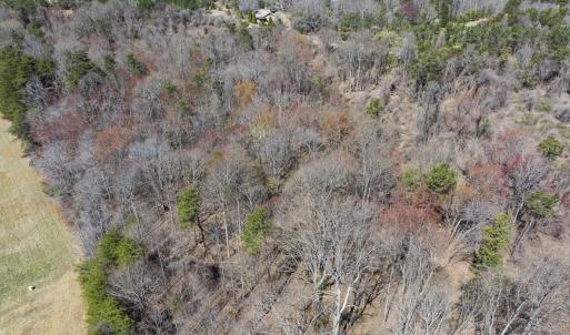 Photo #19 of Off Goodman Road, Lot 4, Pelham, NC 4.5 acres
