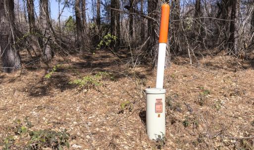 Photo #21 of Off Goodman Road, Lot 4, Pelham, NC 4.5 acres