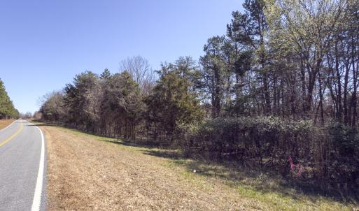 Photo #23 of Off Goodman Road, Lot 4, Pelham, NC 4.5 acres