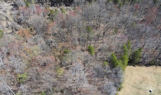 Photo #24 of Off Goodman Road, Lot 4, Pelham, NC 4.5 acres