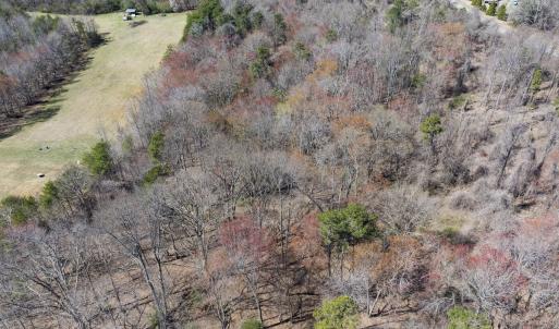 Photo #26 of Off Goodman Road, Lot 4, Pelham, NC 4.5 acres