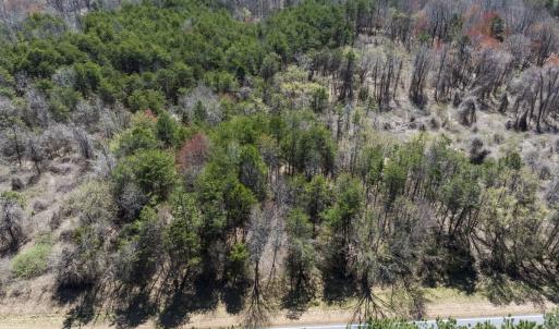 Photo #27 of Off Goodman Road, Lot 4, Pelham, NC 4.5 acres