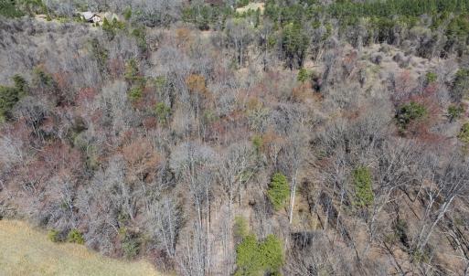 Photo #28 of Off Goodman Road, Lot 4, Pelham, NC 4.5 acres