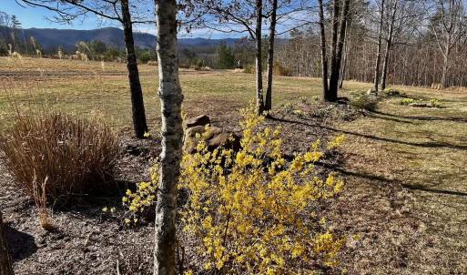 Photo #45 of 80 Oriskany Square , Eagle Rock, VA 35.8 acres