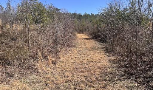 Photo #58 of 80 Oriskany Square , Eagle Rock, VA 35.8 acres
