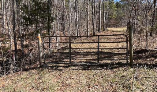 Photo #72 of 80 Oriskany Square , Eagle Rock, VA 35.8 acres