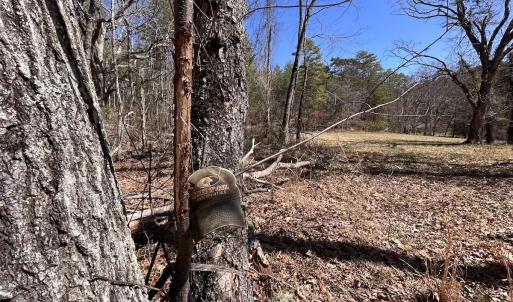 Photo #73 of 80 Oriskany Square , Eagle Rock, VA 35.8 acres