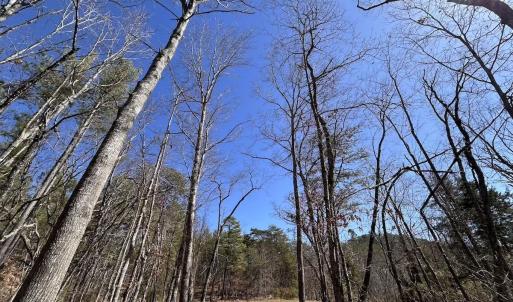 Photo #76 of 80 Oriskany Square , Eagle Rock, VA 35.8 acres