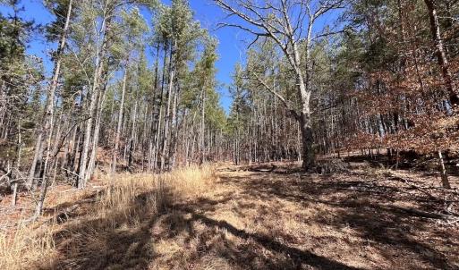 Photo #77 of 80 Oriskany Square , Eagle Rock, VA 35.8 acres