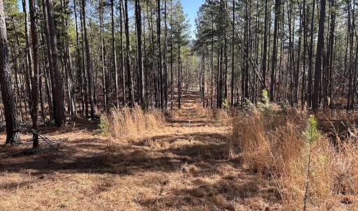 Photo #78 of 80 Oriskany Square , Eagle Rock, VA 35.8 acres