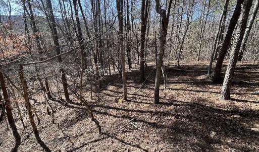 Photo #90 of 80 Oriskany Square , Eagle Rock, VA 35.8 acres