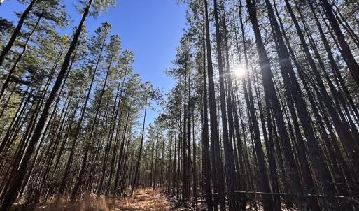 Photo #81 of 80 Oriskany Square , Eagle Rock, VA 35.8 acres