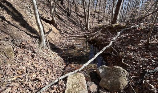 Photo #82 of 80 Oriskany Square , Eagle Rock, VA 35.8 acres