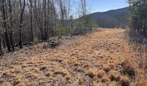 Photo #83 of 80 Oriskany Square , Eagle Rock, VA 35.8 acres