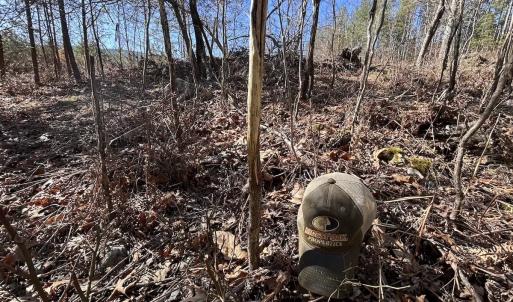 Photo #84 of 80 Oriskany Square , Eagle Rock, VA 35.8 acres