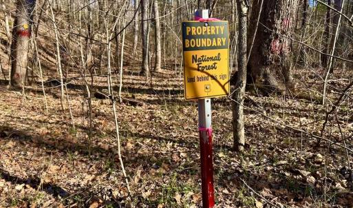 Photo #88 of 80 Oriskany Square , Eagle Rock, VA 35.8 acres