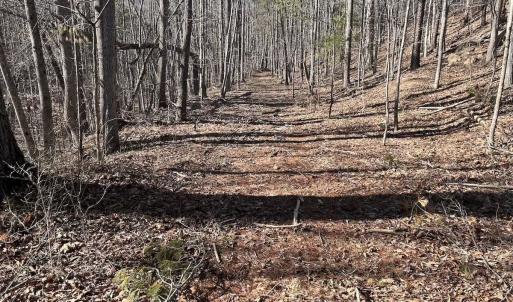 Photo #89 of 80 Oriskany Square , Eagle Rock, VA 35.8 acres