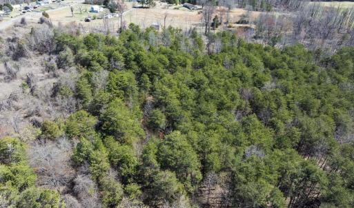 Photo #4 of Off Goodman Road, Lot-6, Pelham, NC 8.6 acres