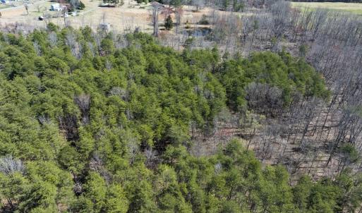 Photo #12 of Off Goodman Road, Lot-6, Pelham, NC 8.6 acres