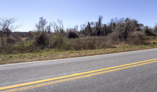 Photo #13 of Off Goodman Road, Lot-6, Pelham, NC 8.6 acres