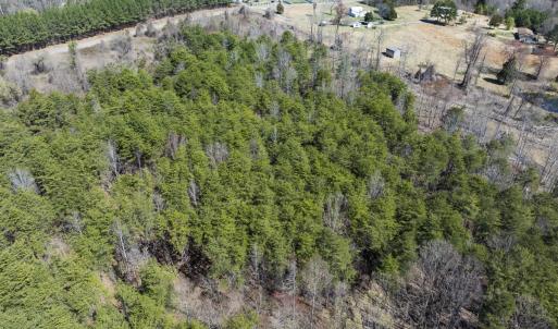 Photo #22 of Off Goodman Road, Lot-6, Pelham, NC 8.6 acres