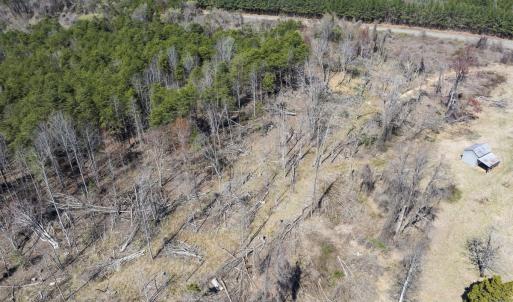 Photo #24 of Off Goodman Road, Lot-6, Pelham, NC 8.6 acres