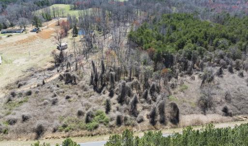 Photo #25 of Off Goodman Road, Lot-6, Pelham, NC 8.6 acres