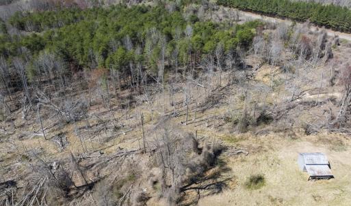 Photo #26 of Off Goodman Road, Lot-6, Pelham, NC 8.6 acres
