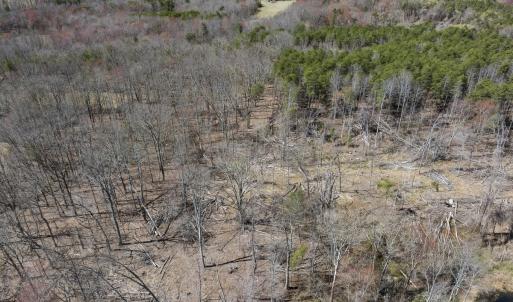Photo #27 of Off Goodman Road, Lot-6, Pelham, NC 8.6 acres