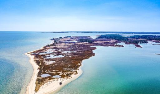 Photo #1 of Off Bay Tree Beach Rd, Seaford, VA 185.0 acres
