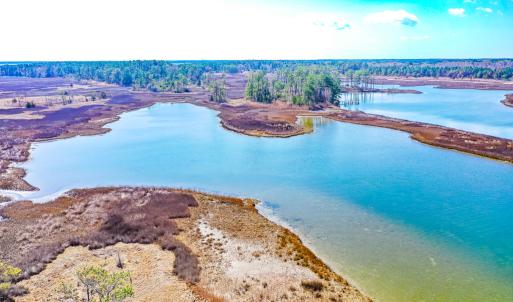 Photo #3 of Off Bay Tree Beach Rd, Seaford, VA 185.0 acres