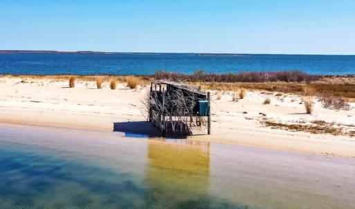 Photo #5 of Off Bay Tree Beach Rd, Seaford, VA 185.0 acres