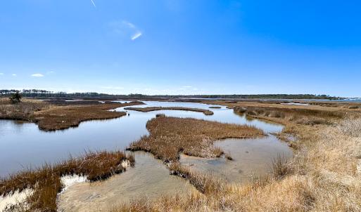 Photo #7 of Off Bay Tree Beach Rd, Seaford, VA 185.0 acres