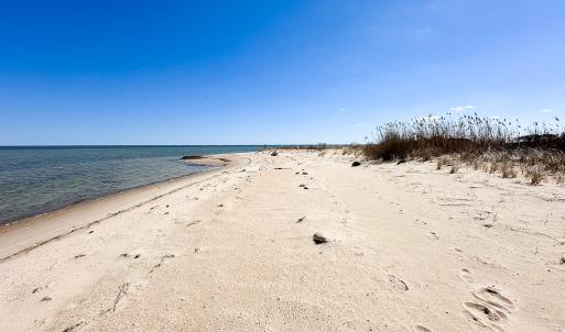 Photo #9 of Off Bay Tree Beach Rd, Seaford, VA 185.0 acres