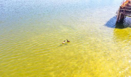 Photo #10 of Off Bay Tree Beach Rd, Seaford, VA 185.0 acres