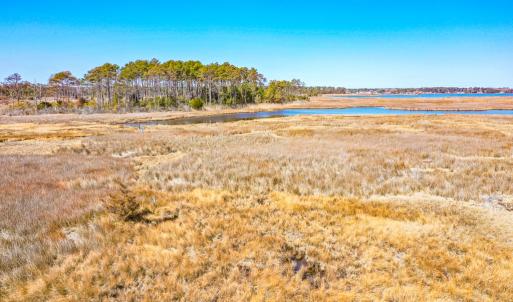 Photo #11 of Off Bay Tree Beach Rd, Seaford, VA 185.0 acres