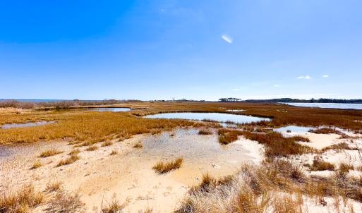 Photo #14 of Off Bay Tree Beach Rd, Seaford, VA 185.0 acres