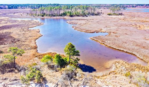 Photo #15 of Off Bay Tree Beach Rd, Seaford, VA 185.0 acres