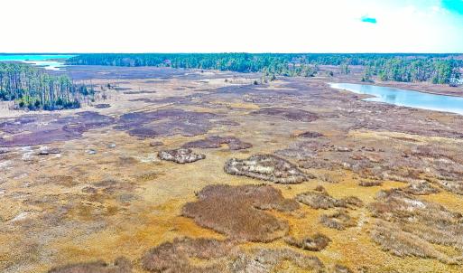 Photo #19 of Off Bay Tree Beach Rd, Seaford, VA 185.0 acres