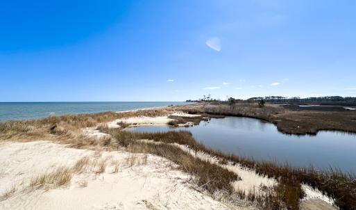 Photo #20 of Off Bay Tree Beach Rd, Seaford, VA 185.0 acres