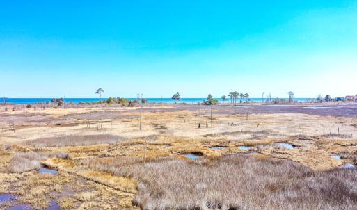 Photo #24 of Off Bay Tree Beach Rd, Seaford, VA 185.0 acres