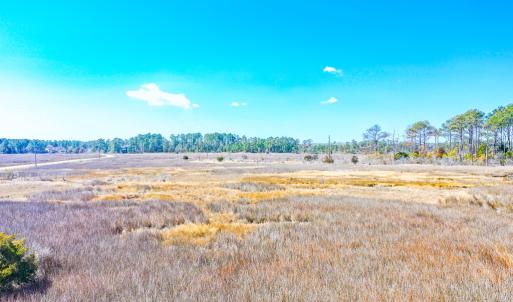 Photo #27 of Off Bay Tree Beach Rd, Seaford, VA 185.0 acres